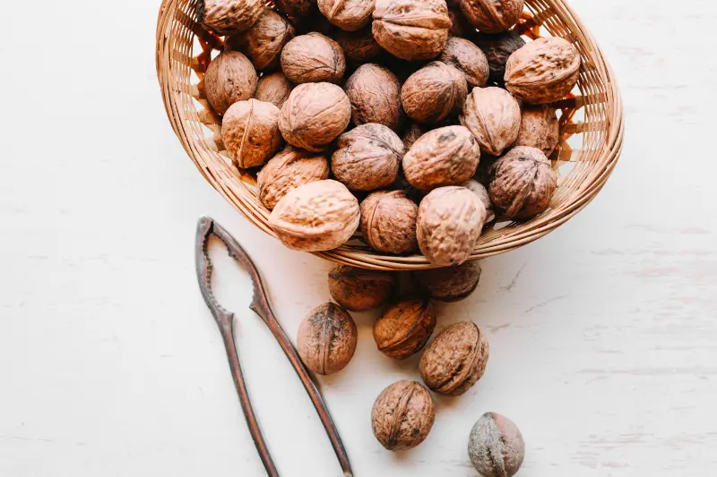 Nutmeg OilExporters in India